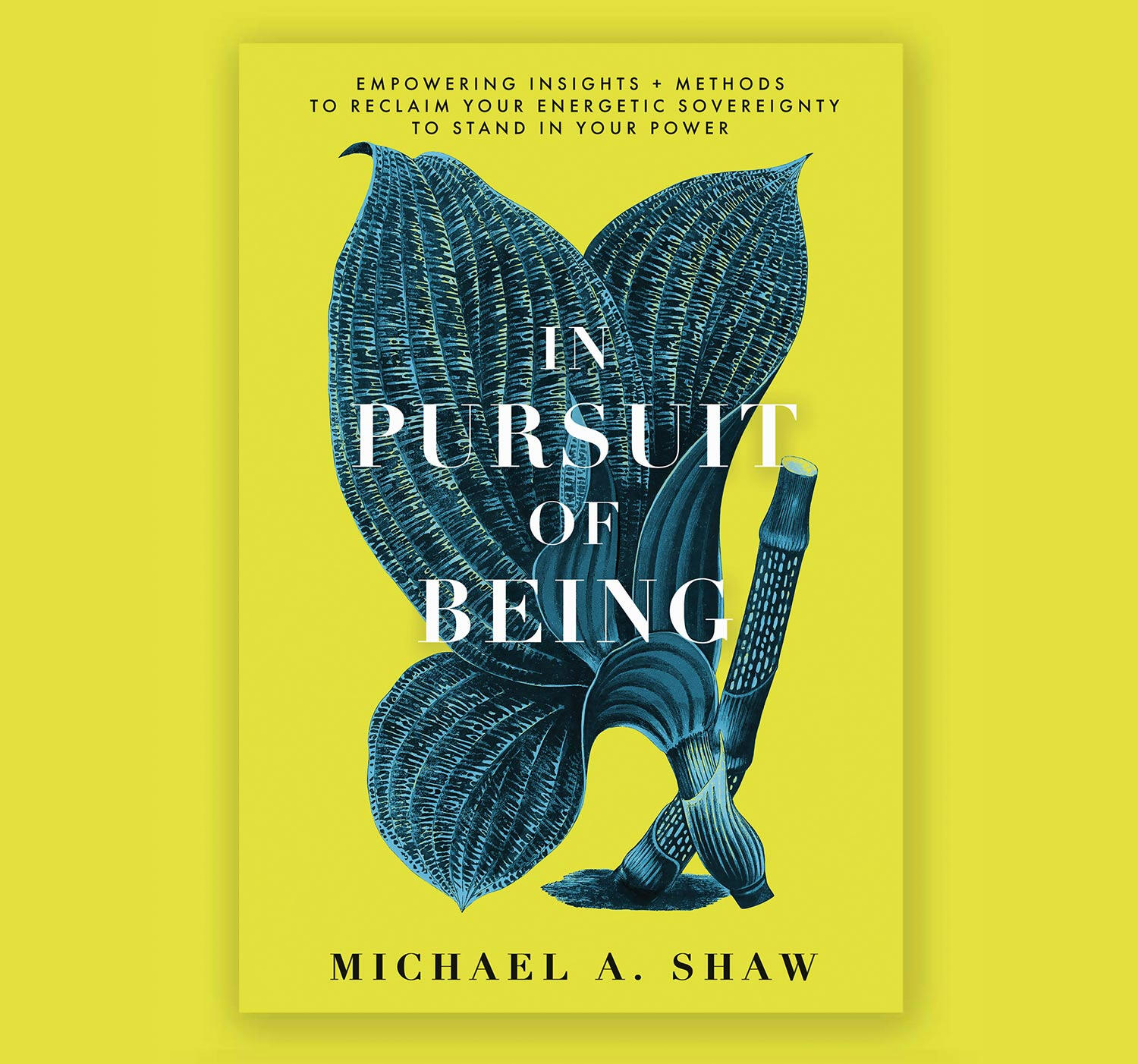 In Pursuit of Being the new book from Michael A Shaw